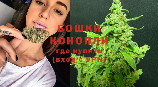 ALPHA PVP Горно-Алтайск