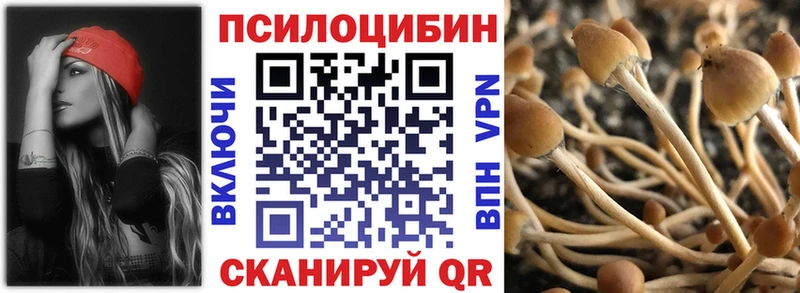 продажа наркотиков  Могоча  Галлюциногенные грибы Psilocybine cubensis 